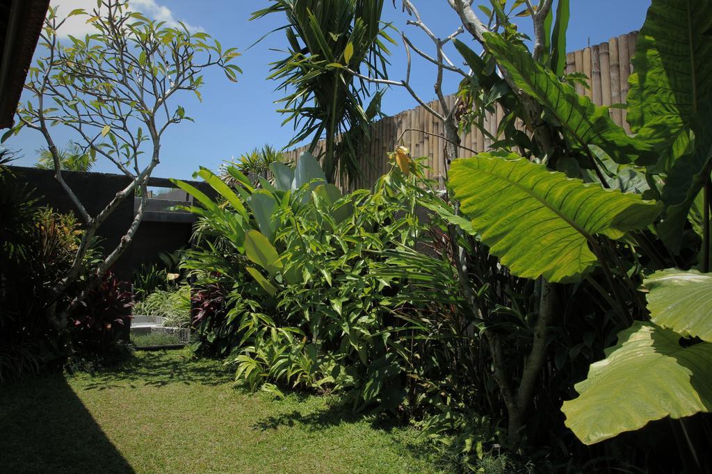Dugul Ubud Værelse billede