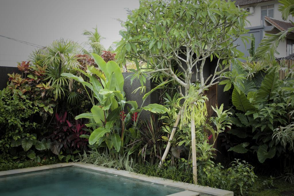 Dugul Ubud Værelse billede