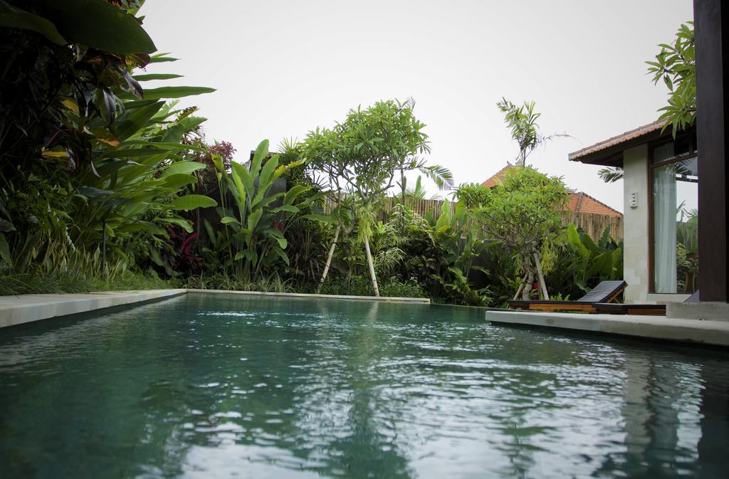 Dugul Ubud Værelse billede