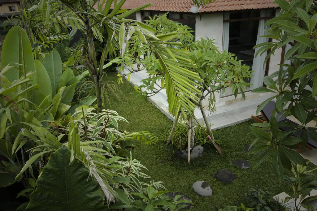 Dugul Ubud Værelse billede